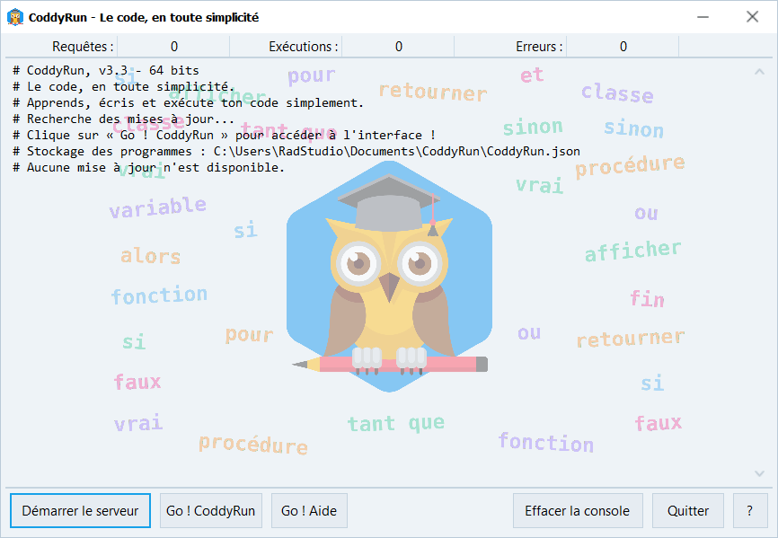 Fenêtre de l'application CoddyRun sous Windows